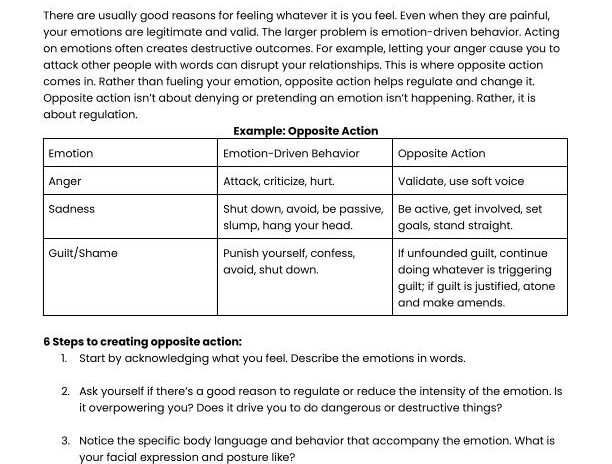 Doing The Opposite Of Your Emotional Urges - image